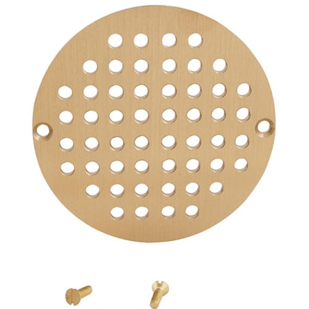 Allpoints Drain Grate, Floor (6") 1021081